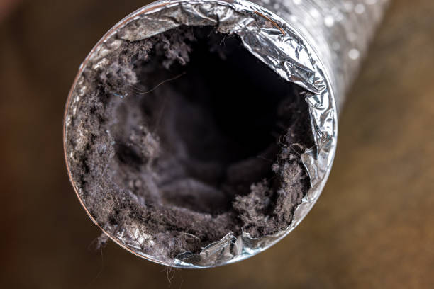 Best Air Duct Cleaning Near Me  in Horse Shoe, NC